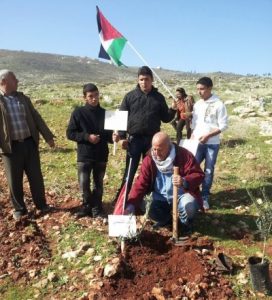 Plant a Tree - Aberdeenshire UNISON stands with Palestine